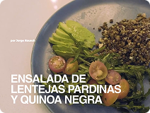 Ensalada de lentejas pardinas y quinoa negra